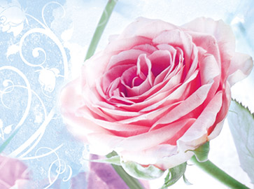 Portfolio - artworks