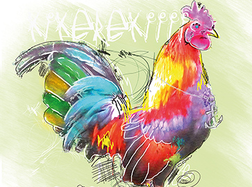 Portfolio - application